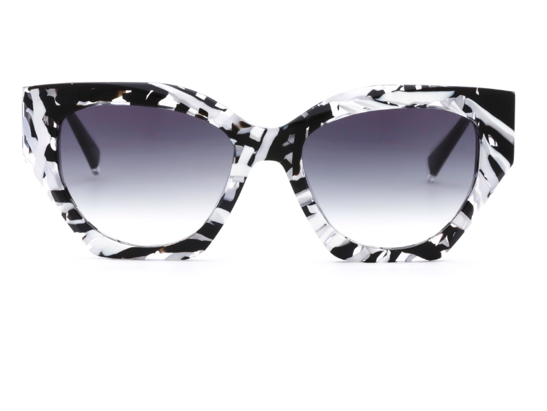 Ana Hickmann Cat Eye Sunglasses