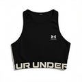 Under Armor Top