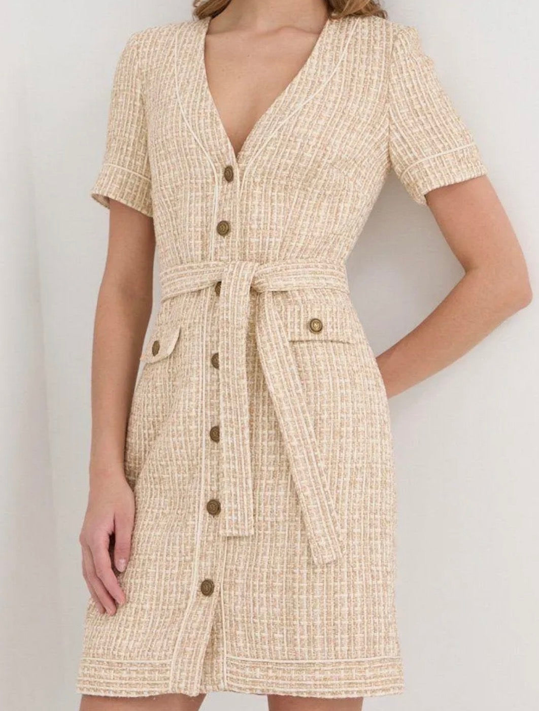 MARCIANO by Guess Spencer Tweed Dress – Beige